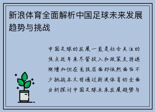 新浪体育全面解析中国足球未来发展趋势与挑战